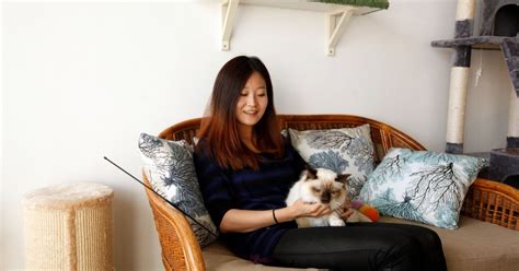 Whether you are looking to add a feline family member or just looking for some old fashioned snuggling time this is the place to visit! A coffee and a kitten to go: Newcastle cat cafe Catpawcino ...