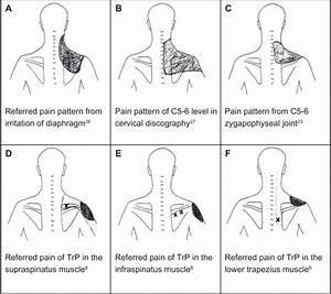 Several Possible Etiologies In The Diagnosis Of Chronic Shoulder 