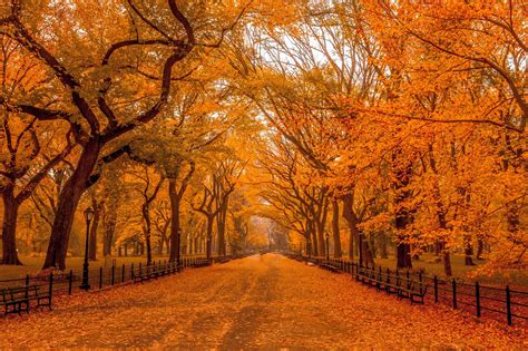 The Mall In Central Park 2015 Autumn Landscape Autumn In New York