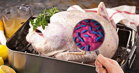 Cdc Salmonella Outbreak Turkey Food Safety Training And Certification