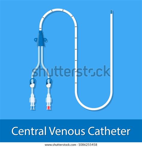 Central Venous Catheter Cvc Picc Line Stock Vector Royalty Free