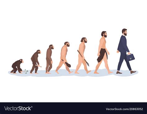 Human Evolution Stages Evolutionary Process And Vector Image