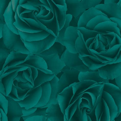 Big Rose Wallpaper Emerald Wallpaper From I Love