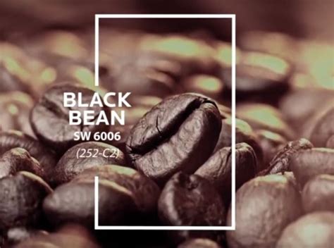 Sw 6006 Black Bean цвет месяца в декабре 2019 года