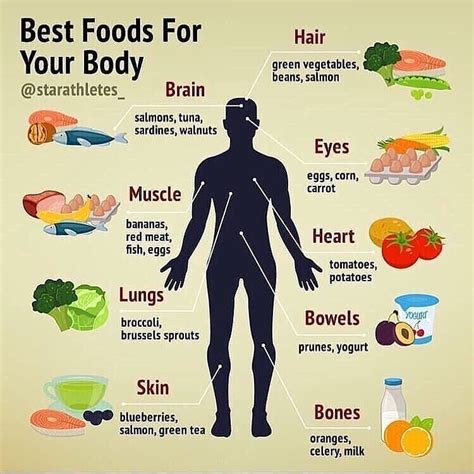 Daily Nutrition Fact On Instagram “best Foods For Your Body