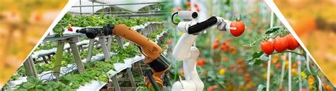Agrobotics What Is Possible And Where India Stands