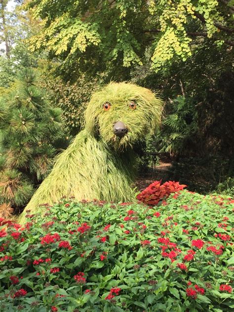 People visiting the new york botanical garden do so at their own risk as to such exposure as well as other risks inherent to outdoor public spaces. Atlanta Botanical Garden | ThriftyFun