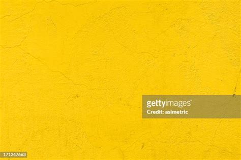 Light Yellow Background Photos And Premium High Res Pictures Getty Images