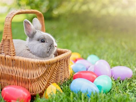 Hop Around With The Holiday Hare Easter Bunny At Trolley Museum East