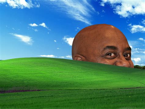 Ainsley Bliss Windows Xp Bliss Wallpaper Know Your Meme