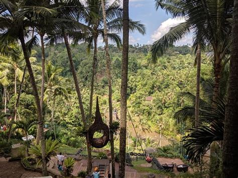 Bali Swing Ubud All You Need To Know Before You Go Updated 2020