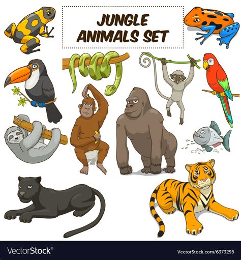 Browse our jungle animal cartoon images, graphics, and designs from +79.322 free vectors graphics. Cartoon jungle animals set Royalty Free Vector Image