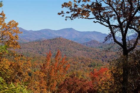 3 Places To Eat In North Georgia This Fall Autumn Scenery Scenery