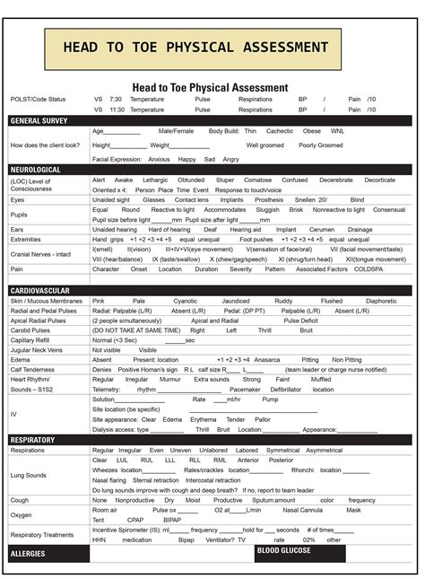 Head To Toe Assessment Nursing Template Head To Toe Etsy Finland