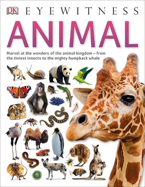 Animal By Dk English Paperback Book Free Shipping 9780241187760 Ebay