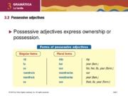Adjetivos Posesivos Possessive Adjectives Express Ownership Or