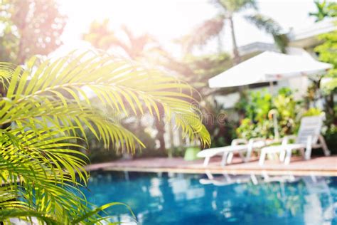 Beautiful Swimming Pool Tropical Resort Blured Stock Image Image Of