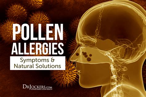 Pollen Allergies Symptoms Natural Support Strategies Pollen Allergies Seasonal Allergy
