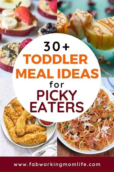 Toddler Meals For Picky Eaters 30 Quick And Easy Toddler Recipes
