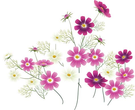 Download Transparent Wild Flower Clipart Pink Wildflower Clipart