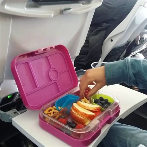 Https://techalive.net/home Design/can You Bring Food From Home Onto A Plane