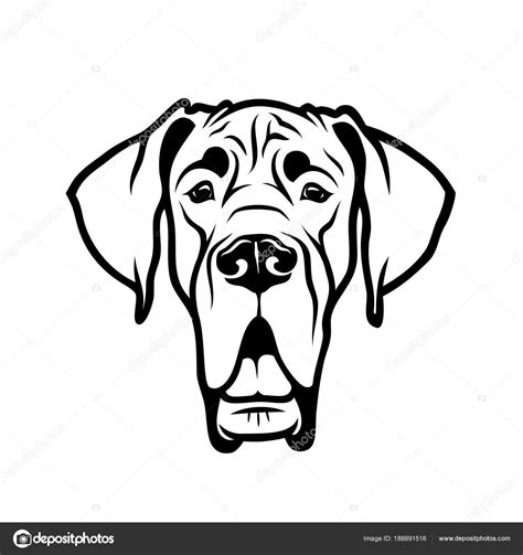 Head Purebred Great Dane Outline Drawing Isolated White Background