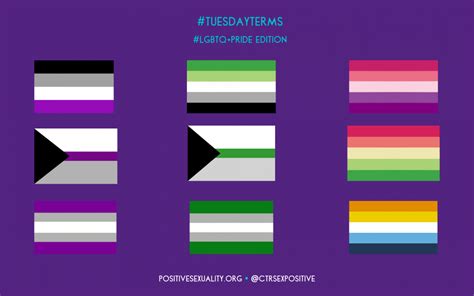 Tuesdayterms Asexual And Aromantic Spectrums Center For Positive