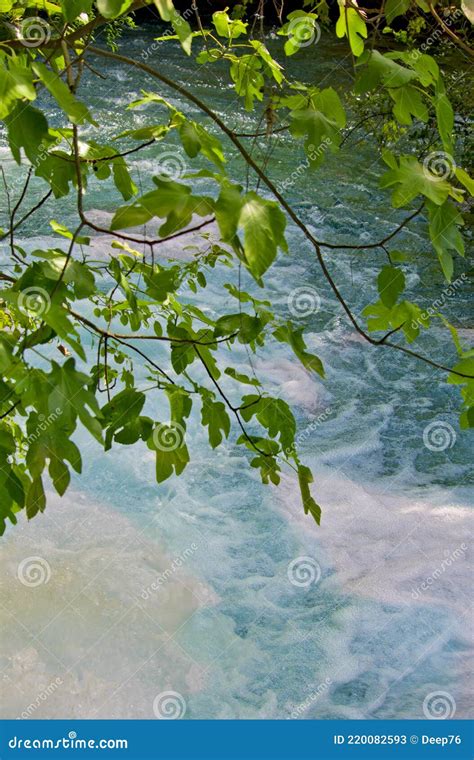 Waterfalls And Trees In Ä°zmir Turkey Stock Image Image Of Garden