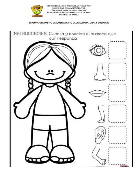 El Cuerpo Humano Online Exercise For 1ro Live Worksheets