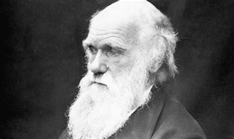 100 Frases De Charles Darwin Padre Del Evolucionismo Con Imágenes