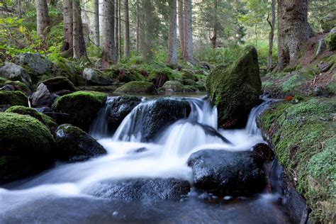 Bachlauf Im Bayerischen Wald Foto And Bild Landschaft Bach Fluss