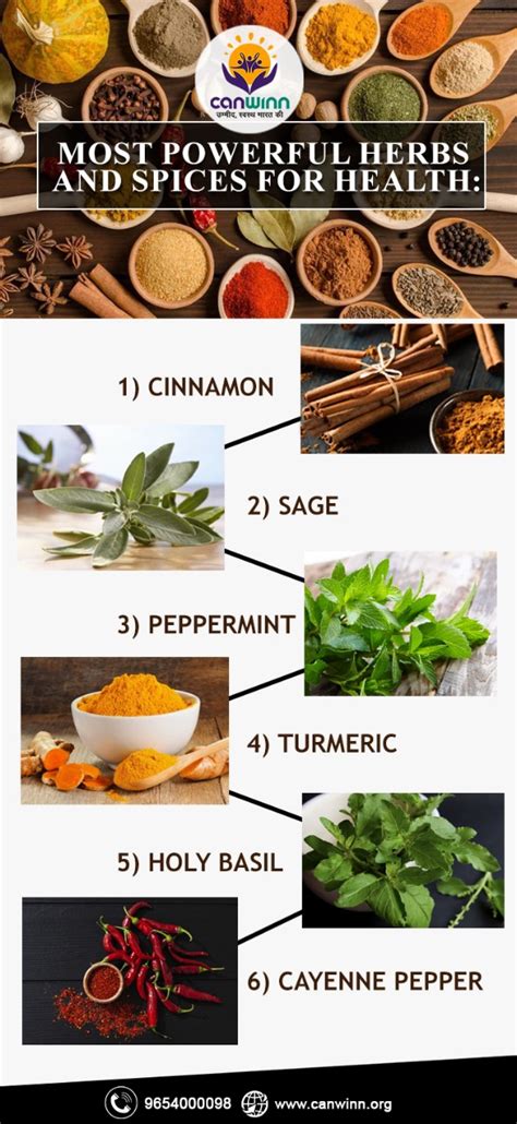 Most Powerful Herbs And Spices For Health Canwinn Foundation Canwinn