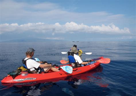 West Side Kayak And Snorkel Discovery Maui Tours And Activities