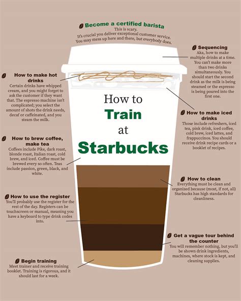 Infographic How To Train At Starbucks Behance