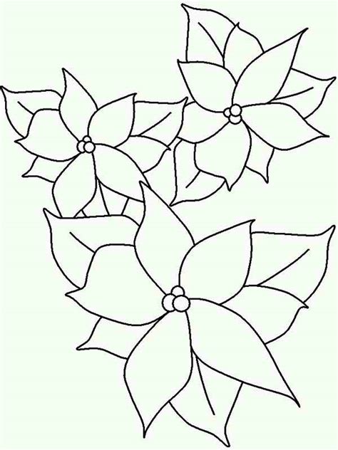 All information these cookies collect is aggregated and therefore anonymous. Poinsettia Outline Coloring Page : Color Luna
