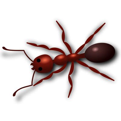 Ant PNG Vector Images With Transparent Background TransparentPNG