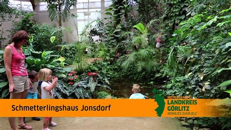 Hier ein paar eindrücke aus dem jugendstilgebäude. Schmetterlingshaus Jonsdorf im LANDKREIS GÖRLITZ - YouTube