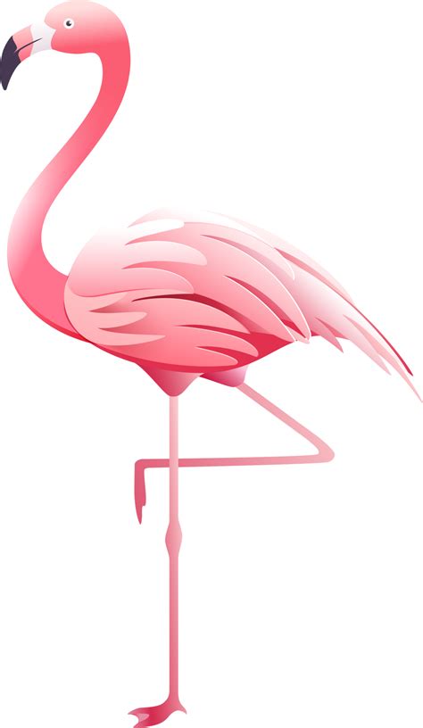 Pink Flamingo Png Transparent Image Download