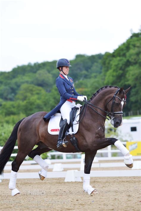 Charlotte Dujardin And Valegro Cute Horses Pretty Horses Horse Love