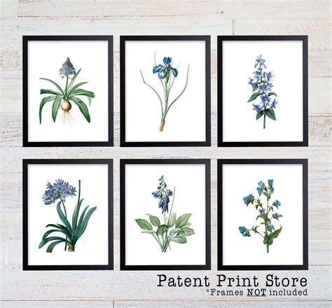 Blue Botanical Art Prints Blue Flower Prints Flower Wall Art