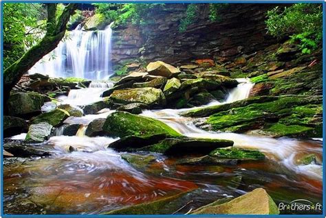 Live Waterfall Screensavers With Sound Download