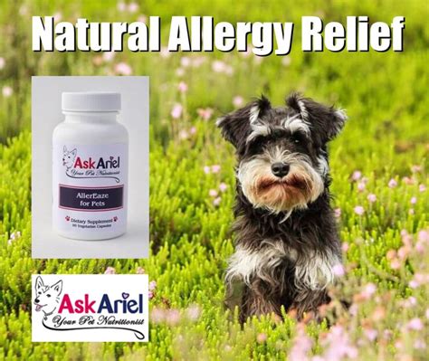 By cecily kellogg, figo guest blogger. AllerEaze by Ask Ariel | Natural Remedy for Cat & Dog ...