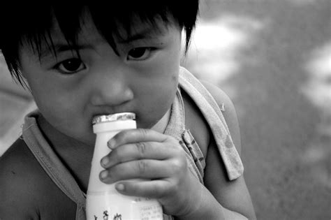 Big Dairy Sets Its Sights On Asia Will ‘milk Life Go Global Civil Eats
