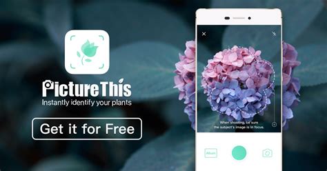 Identify plants and flowers when you upload a picture or take a photo with your phone. Listen and record - inspired by Nature | Thought Clothing