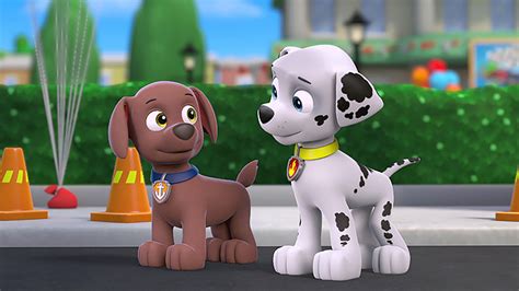 Watch Paw Patrol Season 1 Episode 25 Paw Patrol Pups Great Racepups