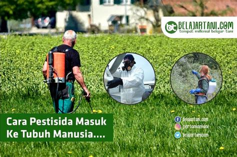 Berikut ini adalah cara melakukan perpanjangan sim di layanan sim keliling pemohon dapat mendatangi kantor samsat terdekat atau layanan sim keliling di wilayahnya dan melakukan. Cara Masuk Pegawai Samsat / Cara Masuk ke Akun Facebook ...