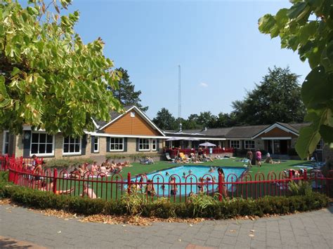 Vakantiehuizen in de veluwse bossen. Vakantiepark op de Veluwe met zwembaden | De IJsvogel