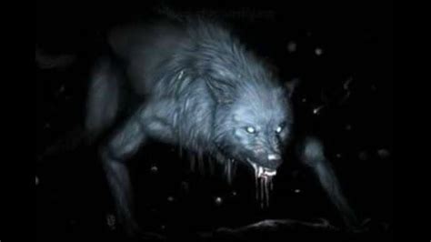 Dogman Encounters In California The Fortean Slip Real Werewolf