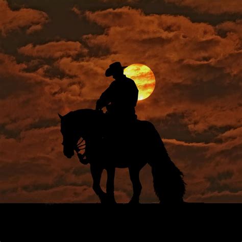 Into The Sunset By Laurie Comfort Cowboy Pictures Cowboy Art
