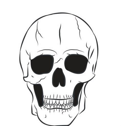 Рисунок черепа в иллюстраторе Рисунок черепа Рисунки черепа Пираты арт